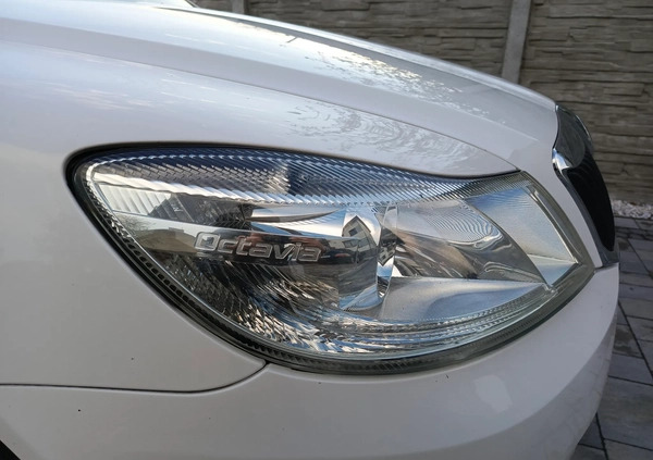Skoda Octavia cena 23600 przebieg: 260262, rok produkcji 2011 z Żuromin małe 326